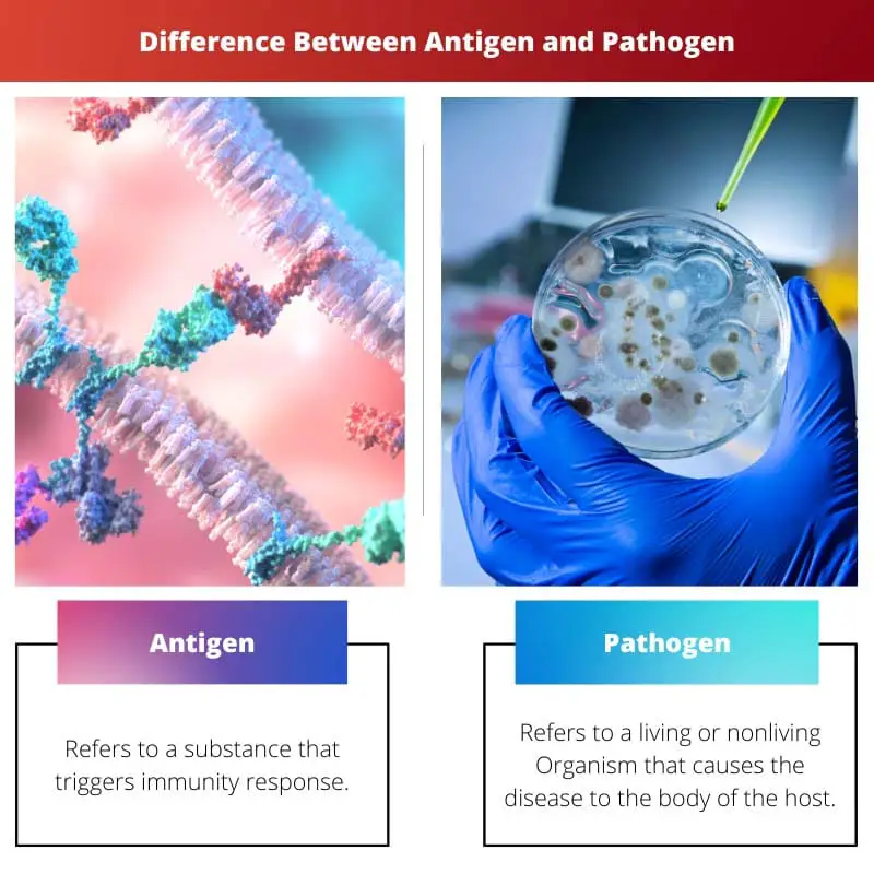 एंटीजन और पैथोजन के बीच अंतर
