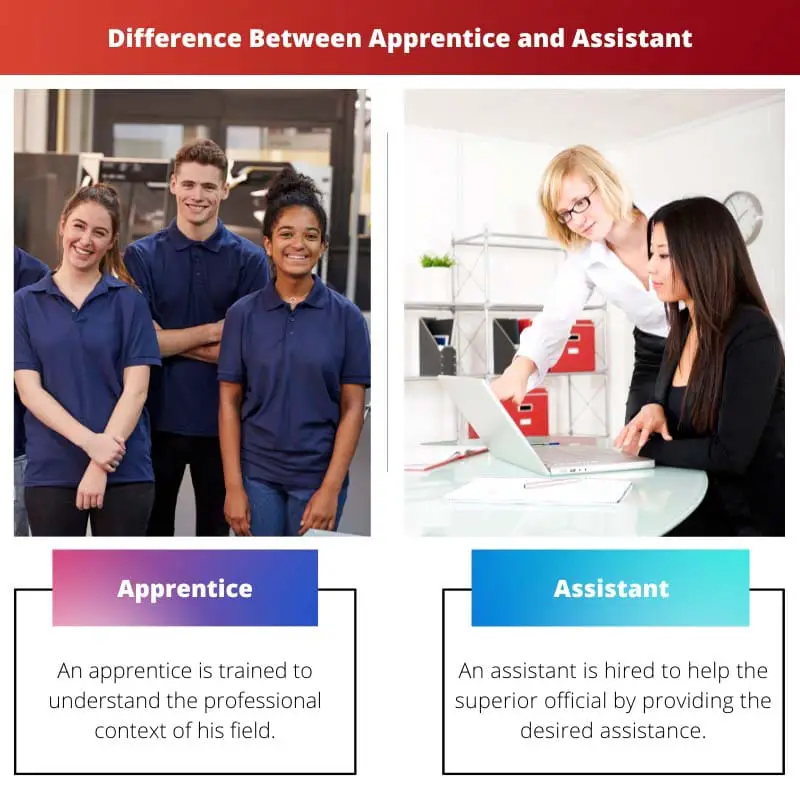 Difference Between Apprentice and Assistant
