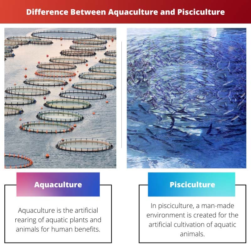 Sự khác biệt giữa Nuôi trồng thủy sản và Nuôi trồng thủy sản