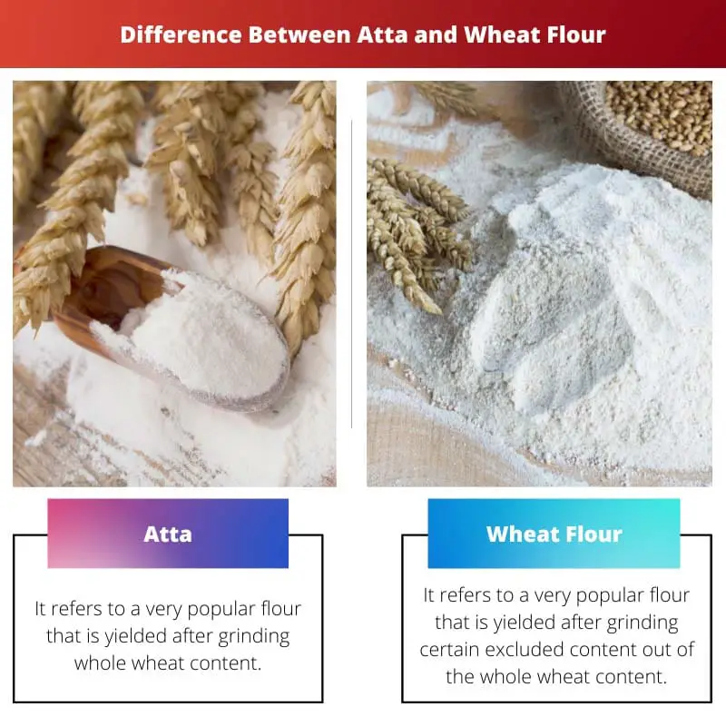 Difference Between Atta and Wheat Flour