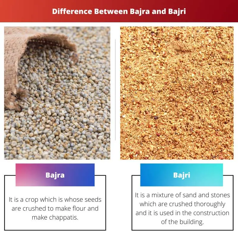 Difference Between Bajra and Bajri