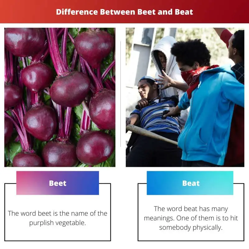 Sự khác biệt giữa Beet và Beat