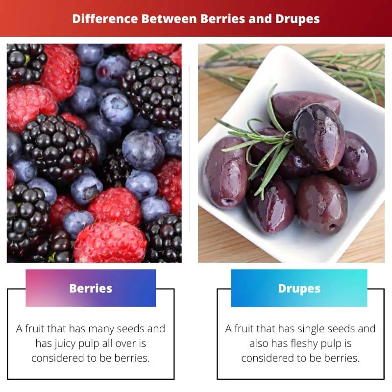 Perbedaan Antara Berries dan Drupes