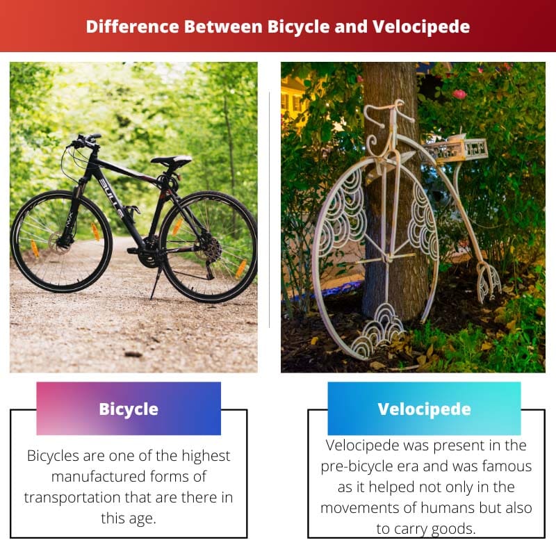 Différence entre vélo et vélocipède