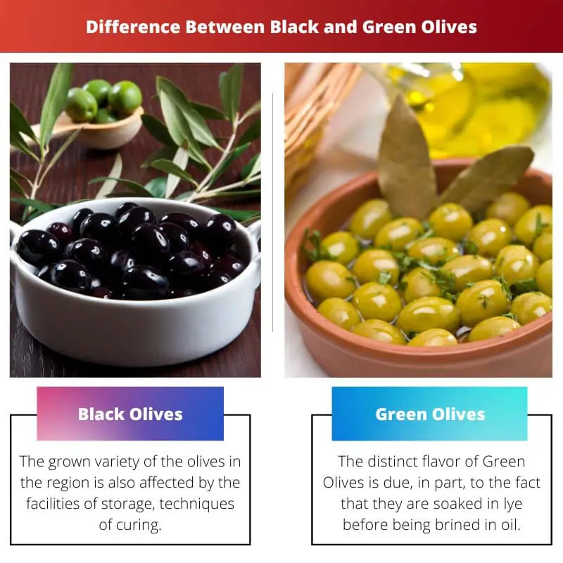 Rozdíl mezi černými a zelenými olivami