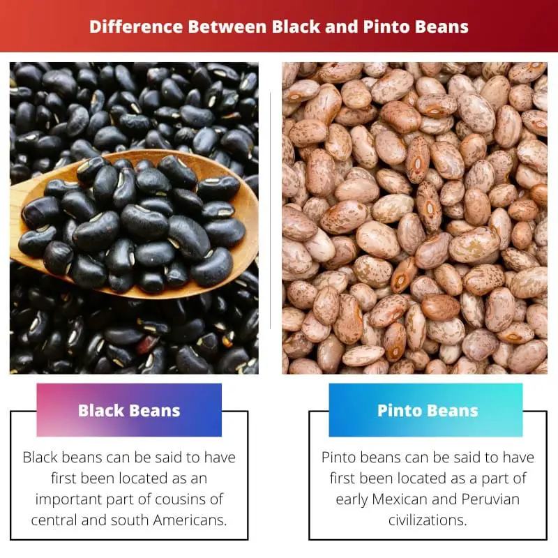 Разница между черной фасолью и фасолью пинто