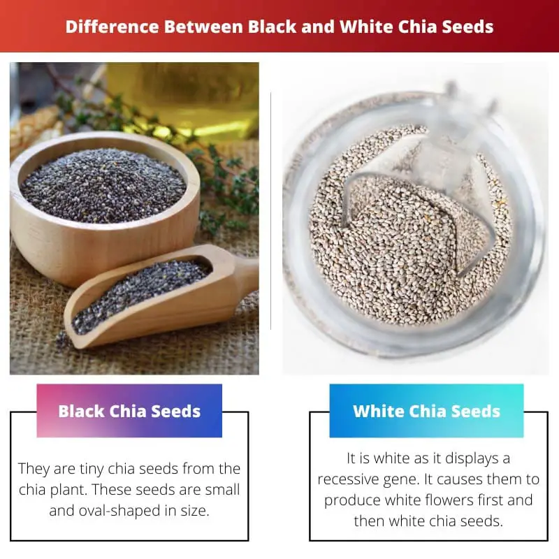 Diferencia entre semillas de chía blancas y negras