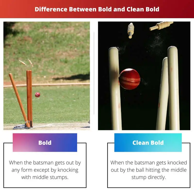 Sự khác biệt giữa Bold và Clean Bold