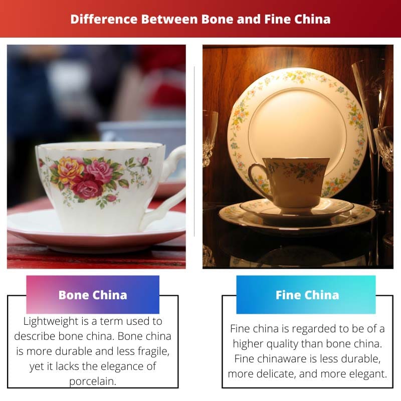 Razlika između koštane i fine Kine