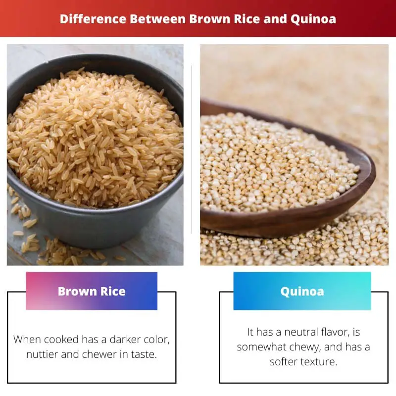 الفرق بين الأرز البني والكينوا