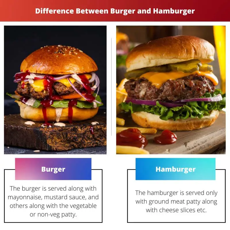 Difference Between Burger and Hamburger