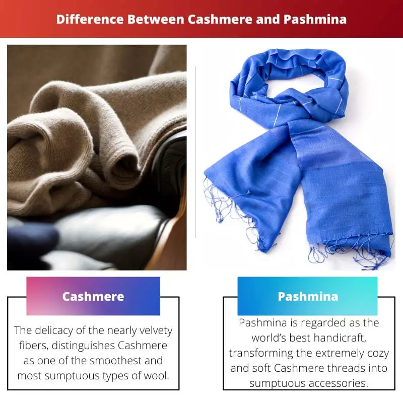 Difference Between Cashmere and Pashmina