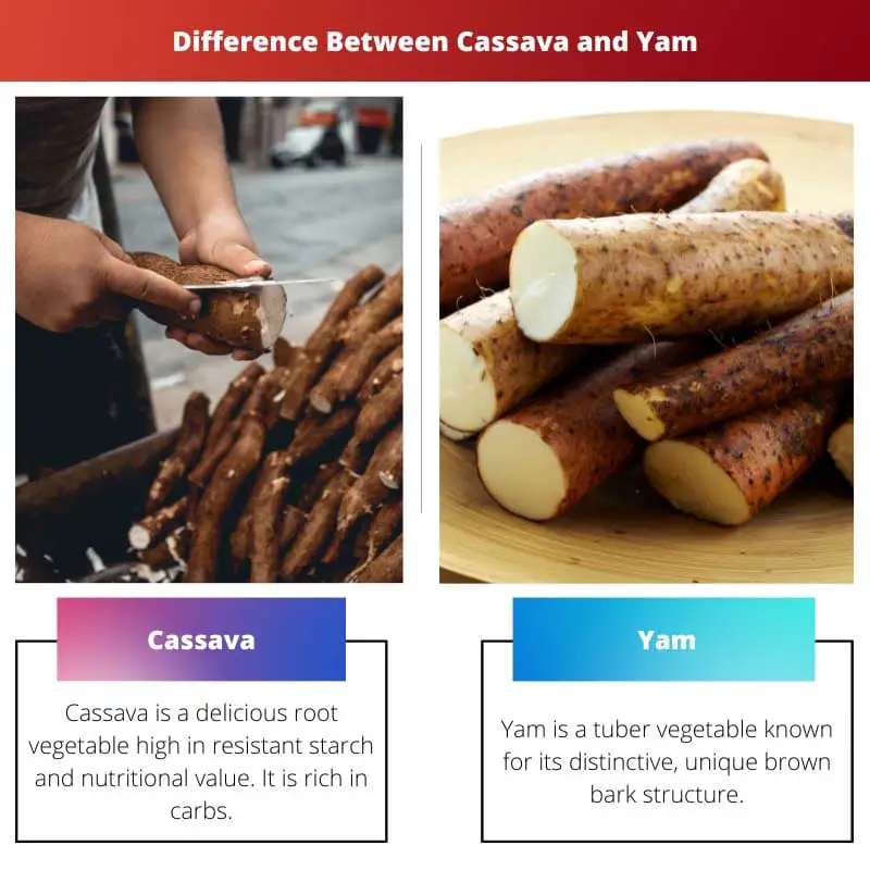 Difference Between Cassava and Yam