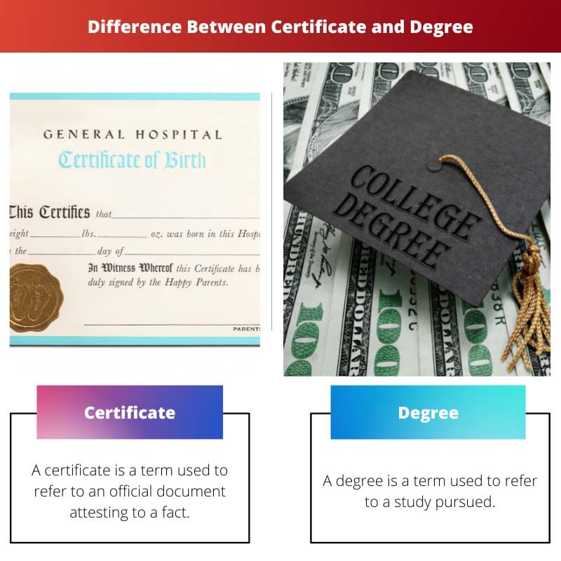 Разница между сертификатом и степенью