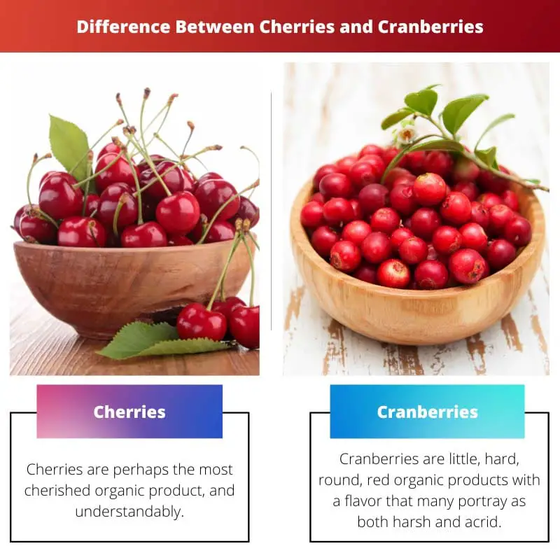 Difference Between Cherries and Cranberries