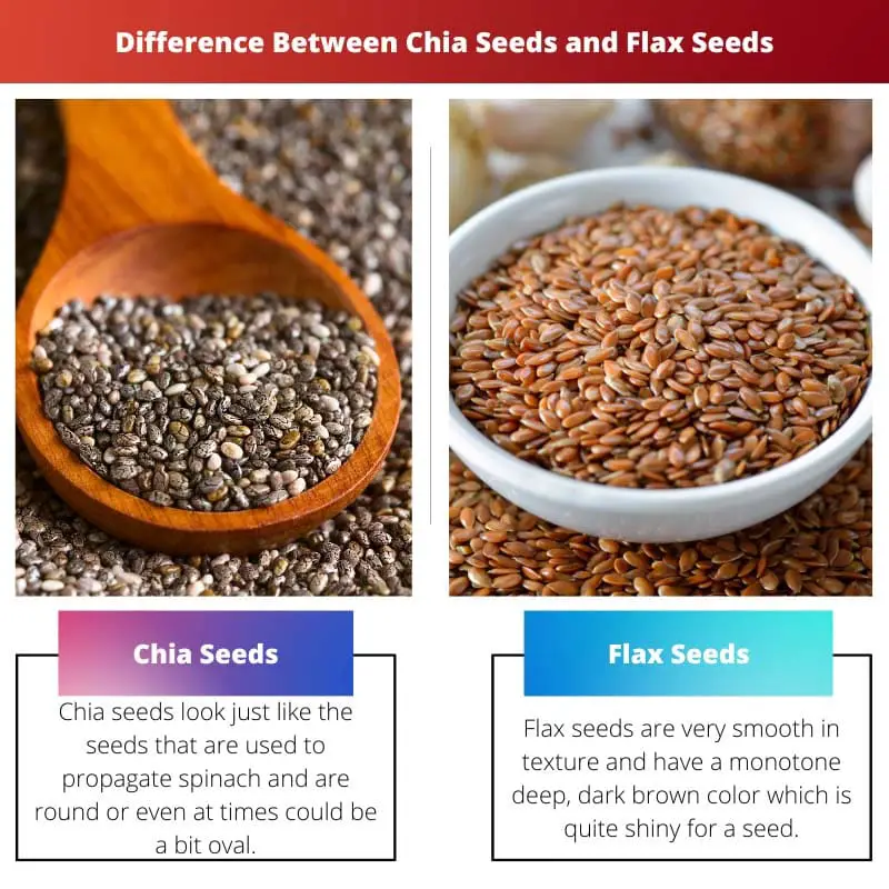 Difference Between Chia Seeds and Flax Seeds