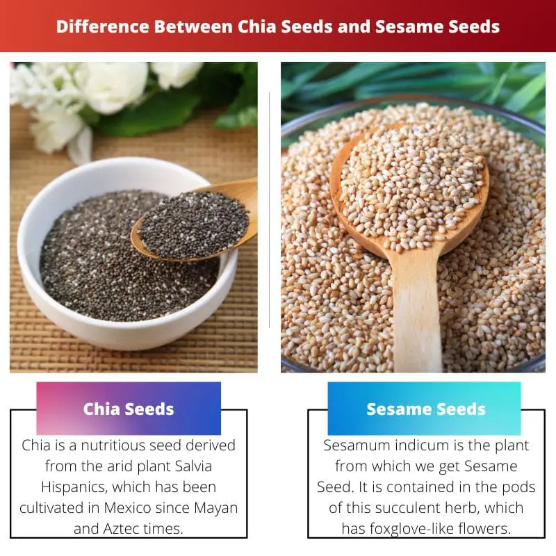 Diferencia entre semillas de chía y semillas de sésamo 2