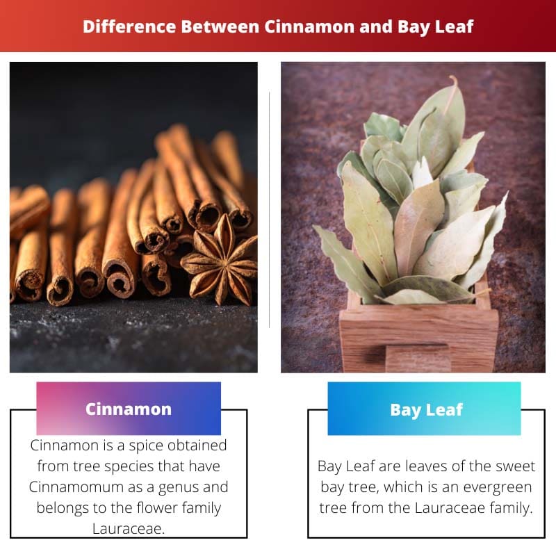 Difference Between Cinnamon and Bay Leaf