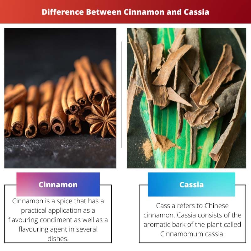 Sự khác biệt giữa quế và Cassia