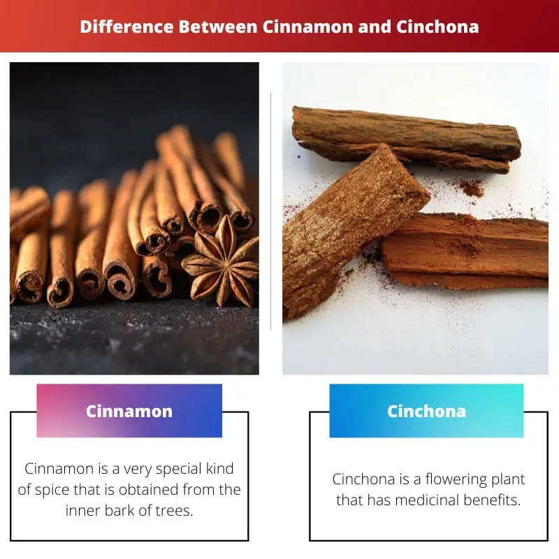 Difference Between Cinnamon and Cinchona