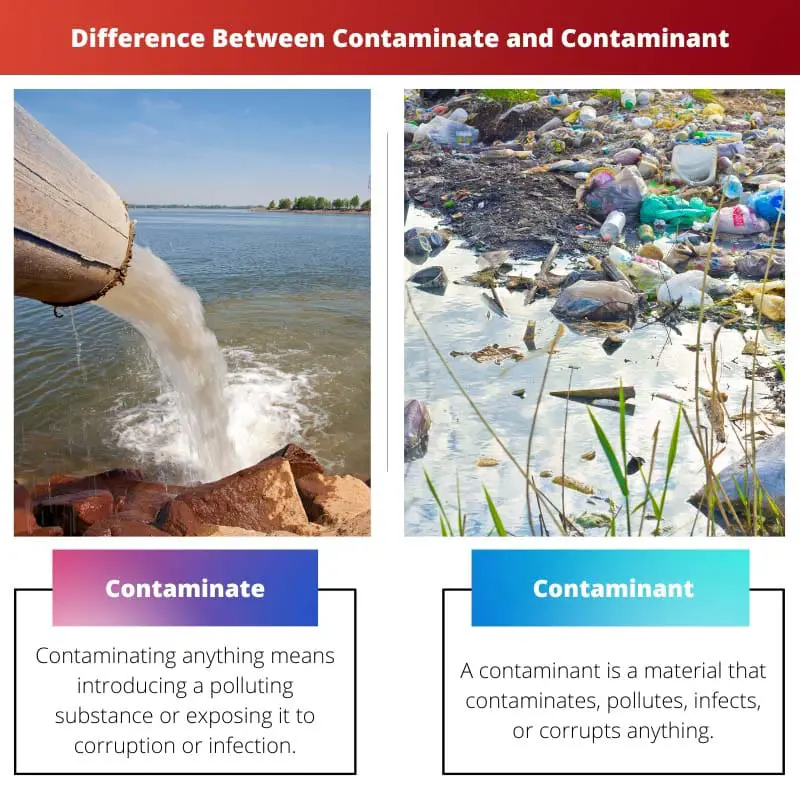 Différence entre contaminer et contaminer