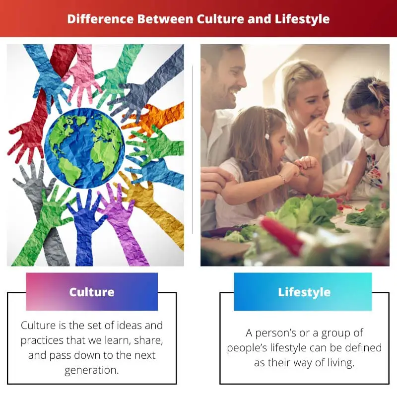 Разница между культурой и образом жизни