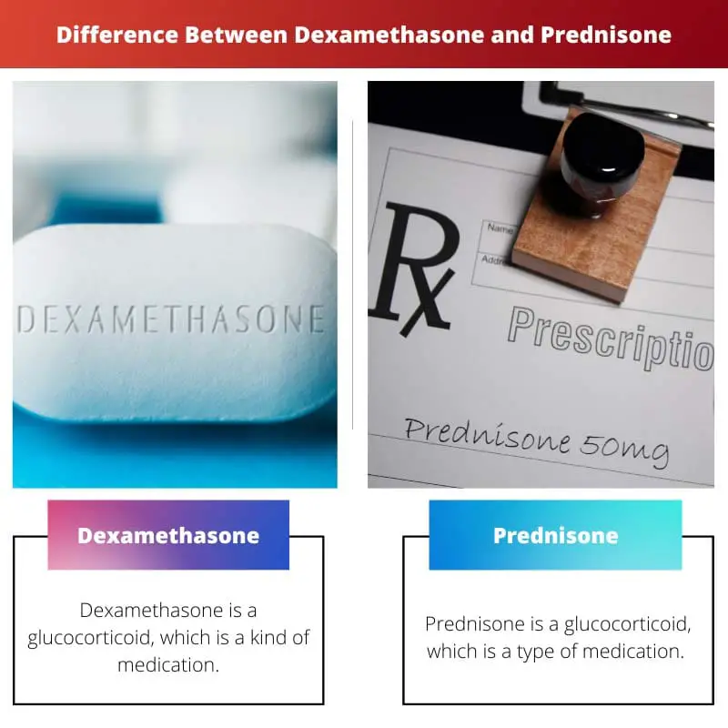 Difference Between Dexamethasone and Prednisone