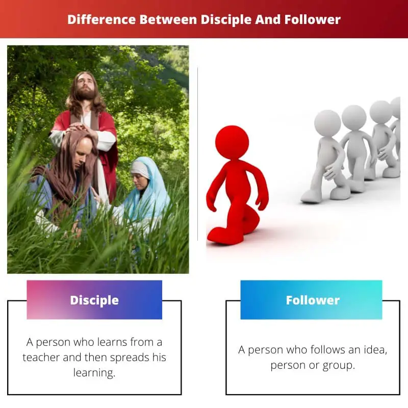 Difference Between Disciple And Follower