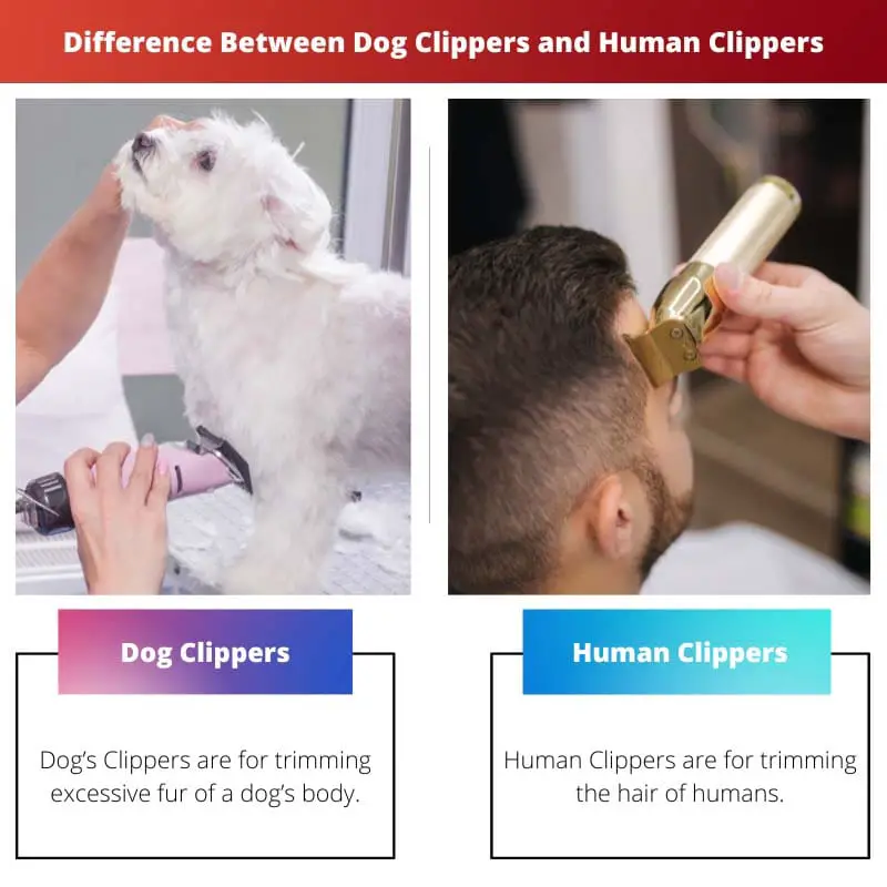 Différence entre les tondeuses pour chiens et les tondeuses humaines
