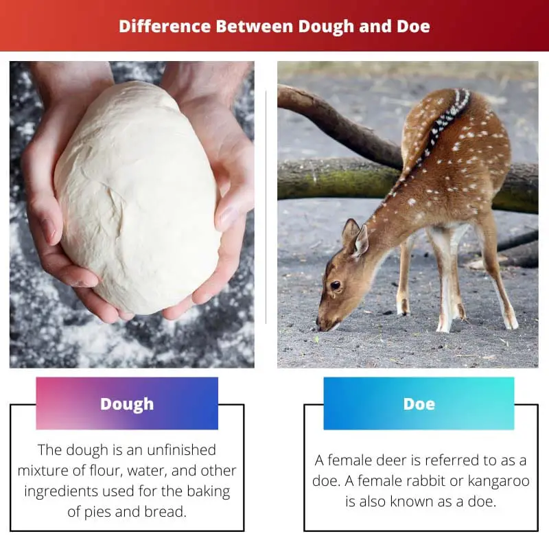 Difference Between Dough and Doe