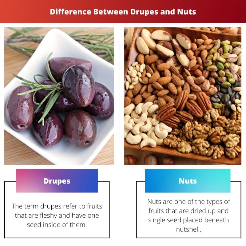 Sự khác biệt giữa Drupes và Nuts