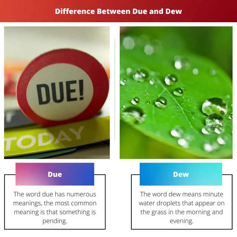 Difference Between Due and Dew