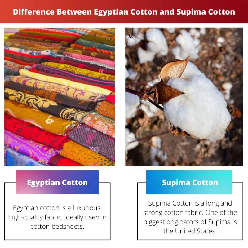 Diferencia entre algodón egipcio y algodón Supima