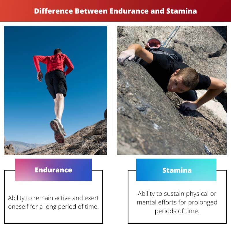 Difference Between Endurance and Stamina