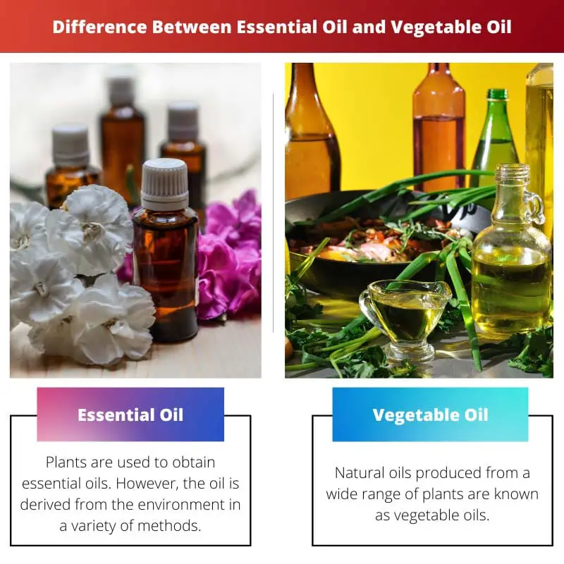 Разница между эфирным маслом и растительным маслом