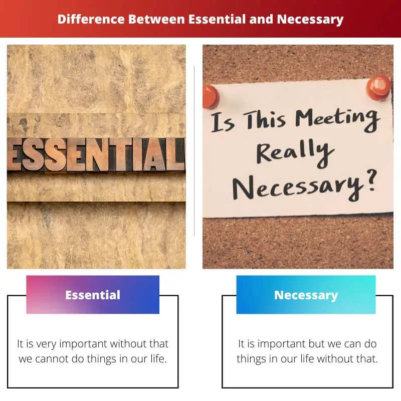 Difference Between Essential and Necessary