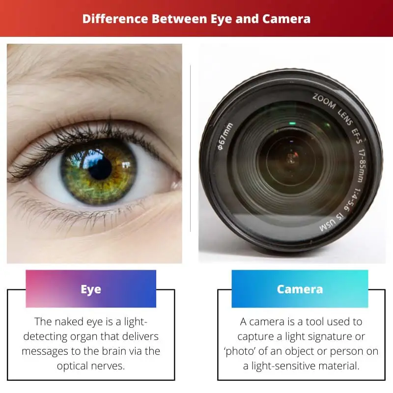Diferencia entre ojo y cámara