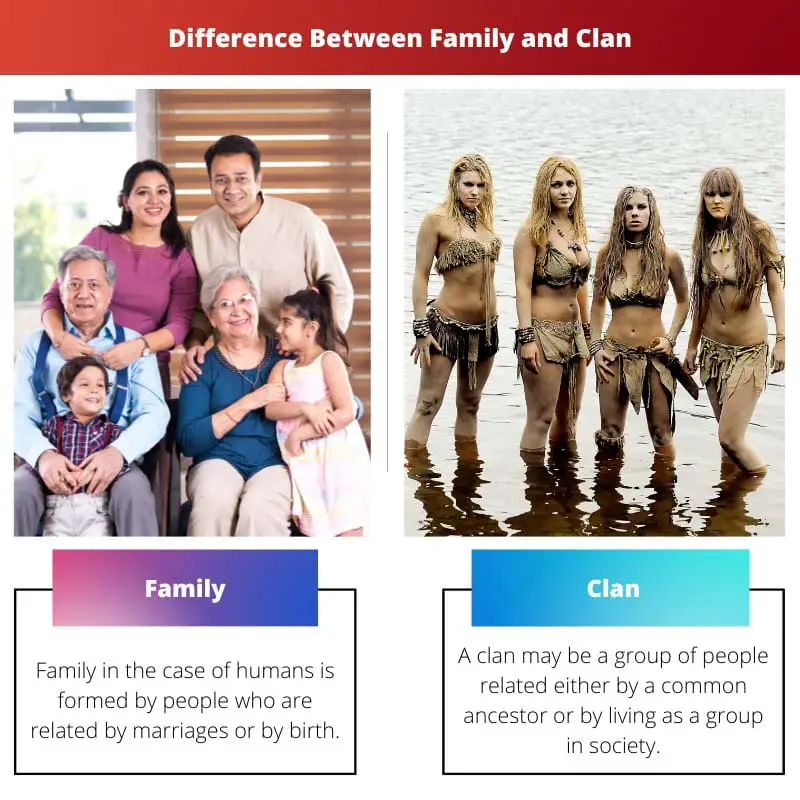 परिवार और कबीले के बीच अंतर