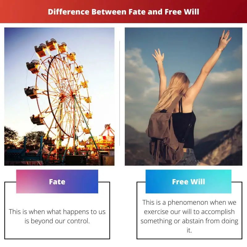 Difference Between Fate and Free Will