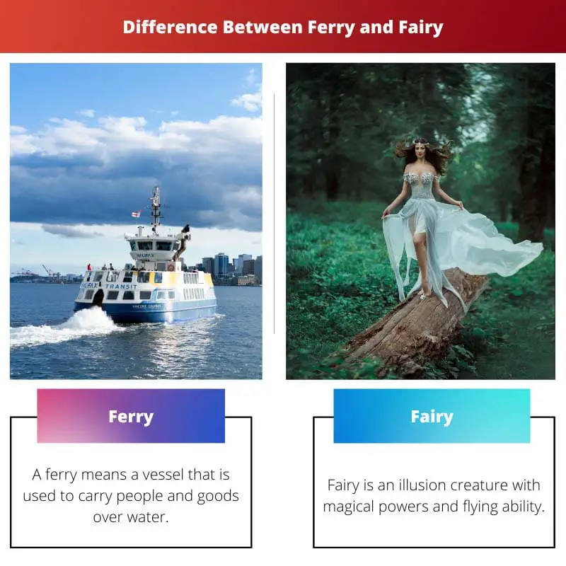 Difference Between Ferry and Fairy