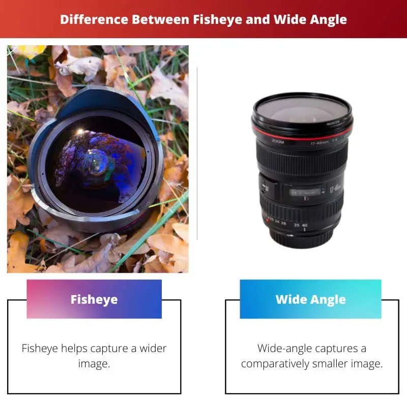 Difference Between Fisheye and Wide Angle