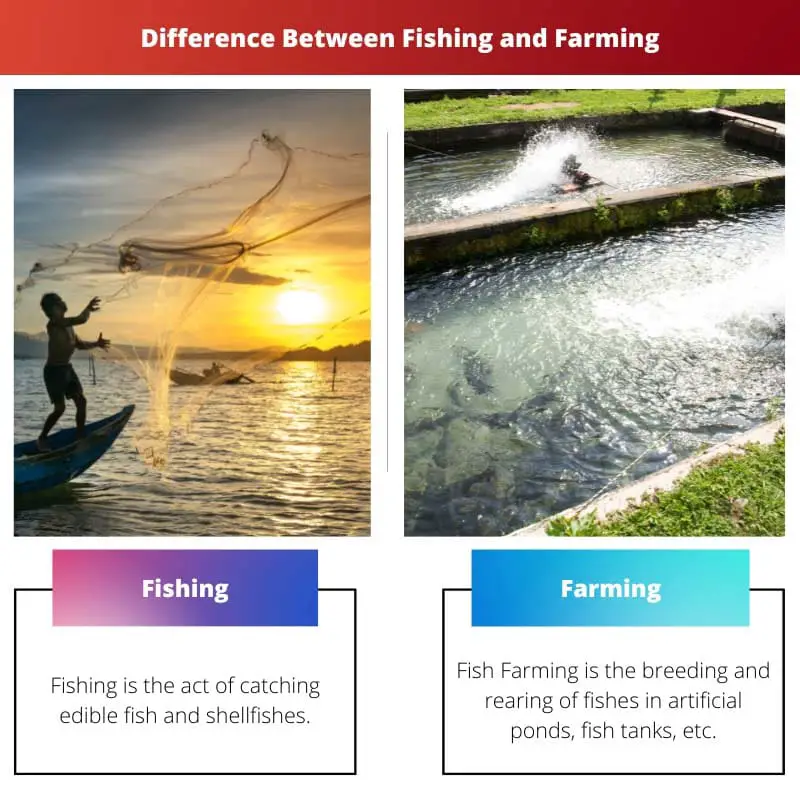 Rozdíl mezi rybolovem a zemědělstvím