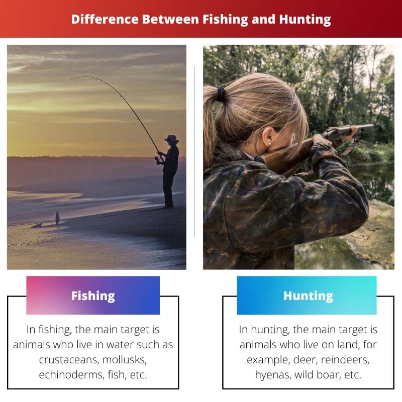 Difference Between Fishing and Hunting