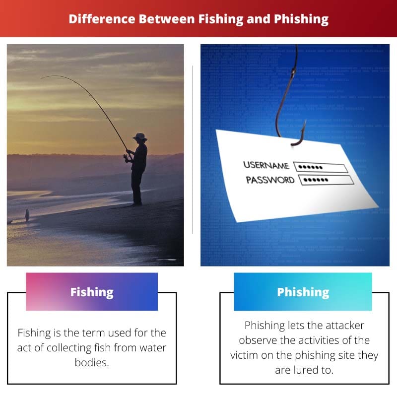 钓鱼和网络钓鱼之间的区别