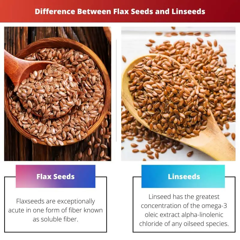 Difference Between Flax Seeds and Linseeds
