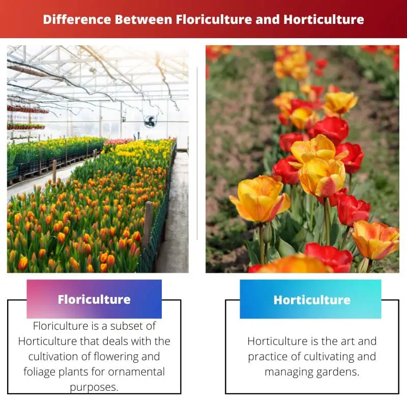 Difference Between Floriculture and Horticulture