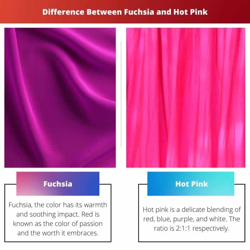 Difference Between Pink And Hot Pink At Sam Edgar Blog