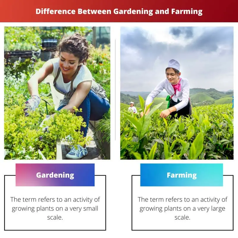 Diferencia entre jardinería y agricultura