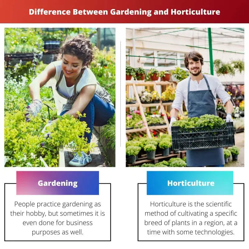 Difference Between Gardening and Horticulture