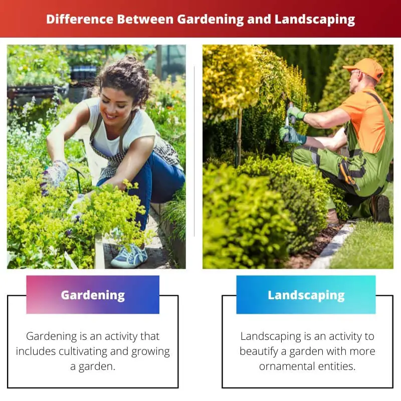 Difference Between Gardening and Landscaping